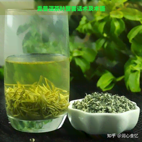 卖普洱茶叶整套话术及术语