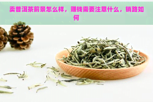 卖普洱茶前景怎么样，赚钱需要注意什么，销路如何