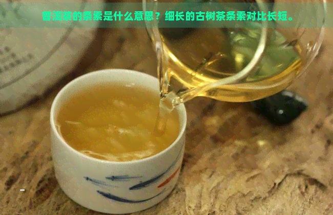 普洱茶的条索是什么意思？细长的古树茶条索对比长短。