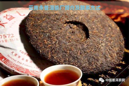 云南永普洱茶厂简介及联系方式