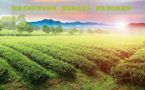 喝普洱茶刮舌头好吗，普洱茶刮舌头：健生活的新趋势？