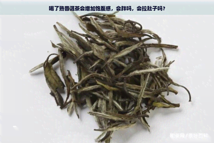 喝了熟普洱茶会增加饱腹感，会胖吗，会拉肚子吗？