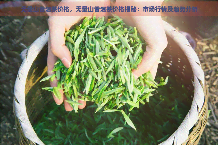 无量山普洱茶价格，无量山普洱茶价格揭秘：市场行情及趋势分析