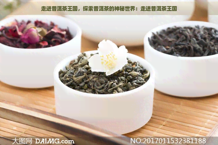 走进普洱茶王国，探索普洱茶的神秘世界：走进普洱茶王国