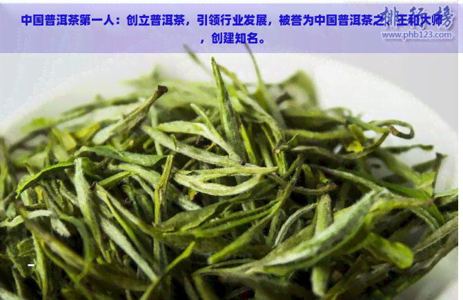 中国普洱茶之一人：创立普洱茶，引领行业发展，被誉为中国普洱茶之、王和大师，创建知名。