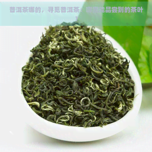 普洱茶哪的，寻觅普洱茶：哪里能品尝到的茶叶？