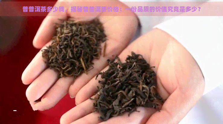 普普洱茶多少钱，揭秘普普洱茶价格：一份品质的价值究竟是多少？