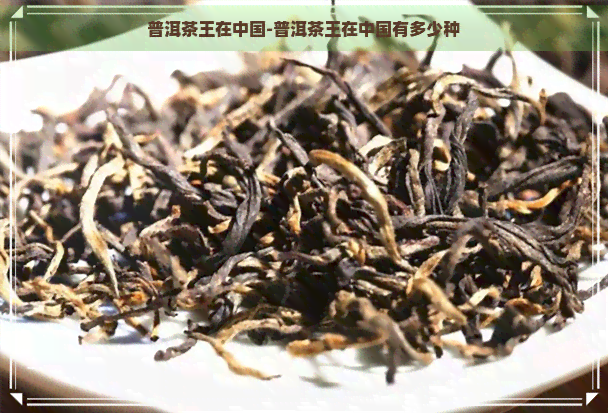 普洱茶王在中国-普洱茶王在中国有多少种