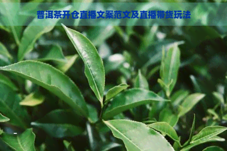 普洱茶开仓直播文案范文及直播带货玩法