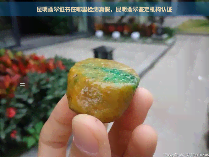 昆明翡翠证书在哪里检测真假，昆明翡翠鉴定机构认证