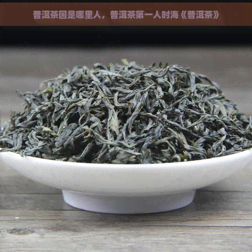 普洱茶国是哪里人，普洱茶之一人时海《普洱茶》