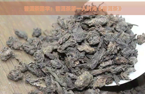 普洱茶国学：普洱茶之一人时海《普洱茶》