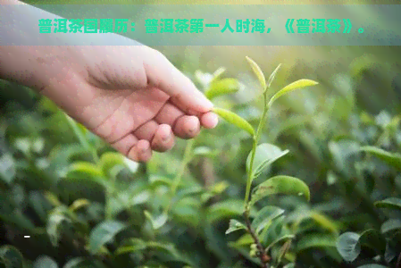 普洱茶国履历：普洱茶之一人时海，《普洱茶》。