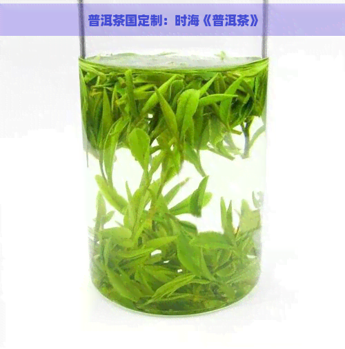 普洱茶国定制：时海《普洱茶》