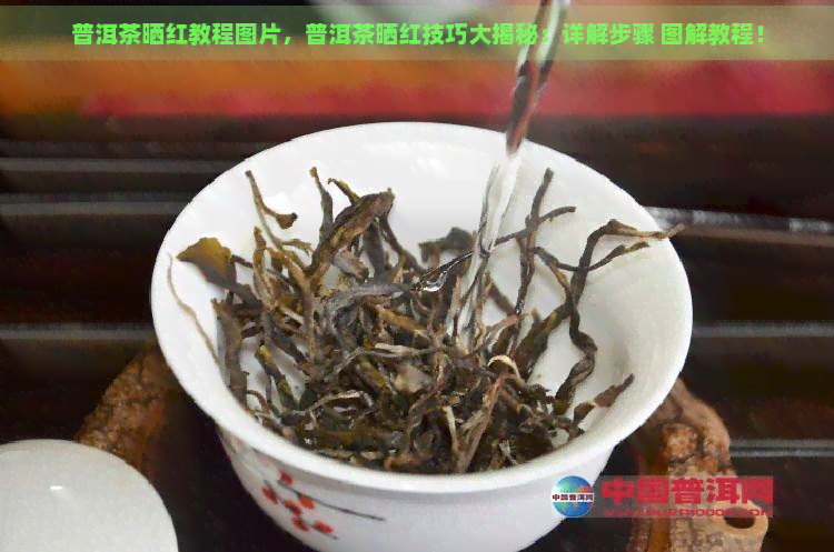 普洱茶晒红教程图片，普洱茶晒红技巧大揭秘：详解步骤 图解教程！