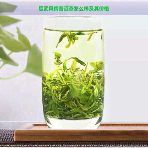 易武风情普洱茶怎么样及其价格