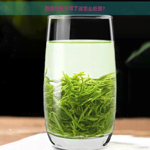 熟普洱茶发霉了该怎么处理？