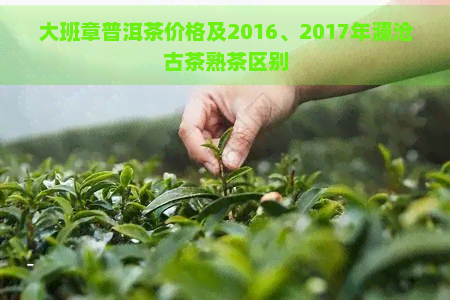 大班章普洱茶价格及2016、2017年澜沧古茶熟茶区别