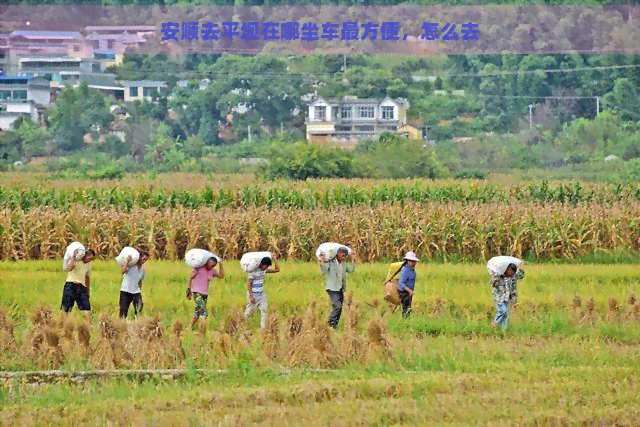 安顺去平坝在哪坐车最方便，怎么去