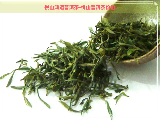 悦山鸿运普洱茶-悦山普洱茶价格