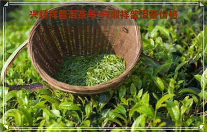 兴顺祥普洱茶号-兴顺祥普洱茶价格