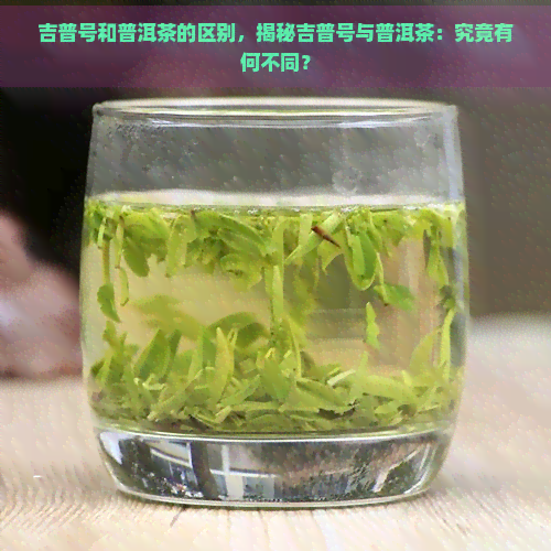 吉普号和普洱茶的区别，揭秘吉普号与普洱茶：究竟有何不同？