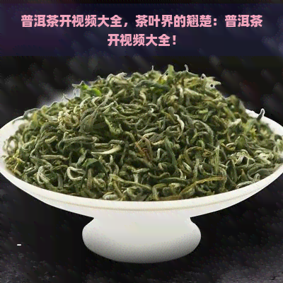 普洱茶开视频大全，茶叶界的翘楚：普洱茶开视频大全！