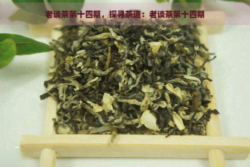 老谈茶第十四期，探寻茶道：老谈茶第十四期