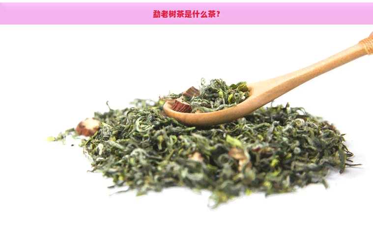 勐老树茶是什么茶？