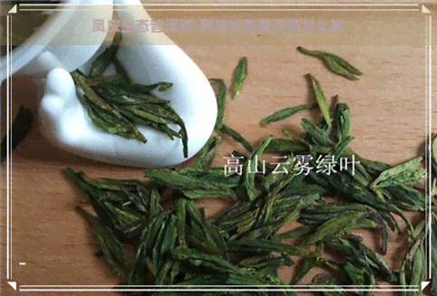 凤庆生态普洱茶-凤庆生态普洱茶怎么样