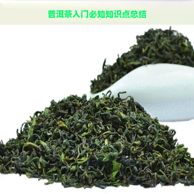 普洱茶入门必知知识点总结