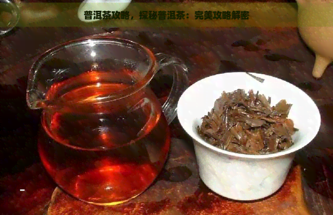 普洱茶攻略，探秘普洱茶：完美攻略解密