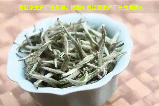 普洱茶生产厂长是谁，揭晓！普洱茶生产厂长的身份！