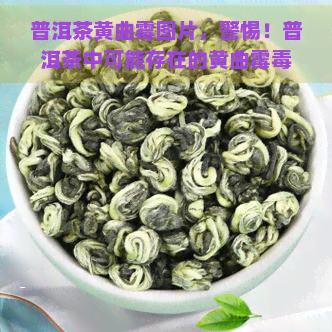 普洱茶黄曲霉图片，警惕！普洱茶中可能存在的黄曲霉素，这些图片揭示了真相