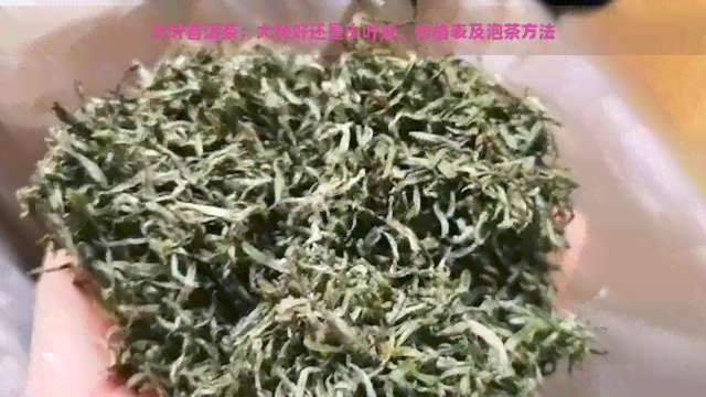 大叶普洱茶：大叶好还是小叶好，价格表及泡茶方法