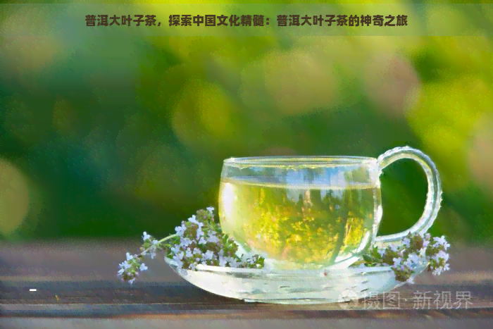 普洱大叶子茶，探索中国文化精髓：普洱大叶子茶的神奇之旅