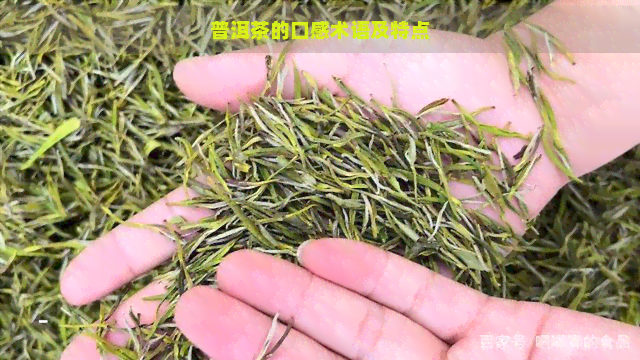 普洱茶的口感术语及特点