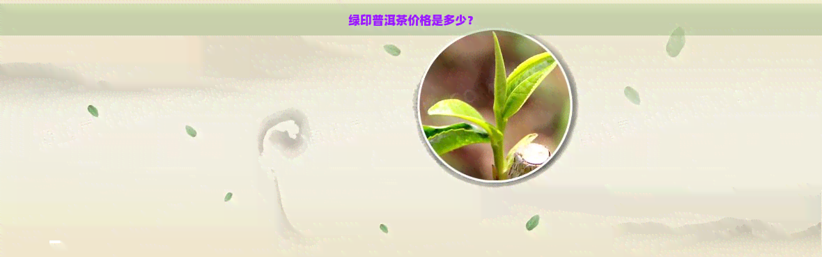 绿印普洱茶价格是多少？