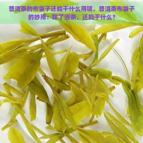 普洱茶的布袋子还能干什么用呢，普洱茶布袋子的妙用：除了泡茶，还能干什么？