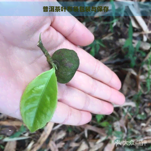 普洱茶叶布袋包装与保存