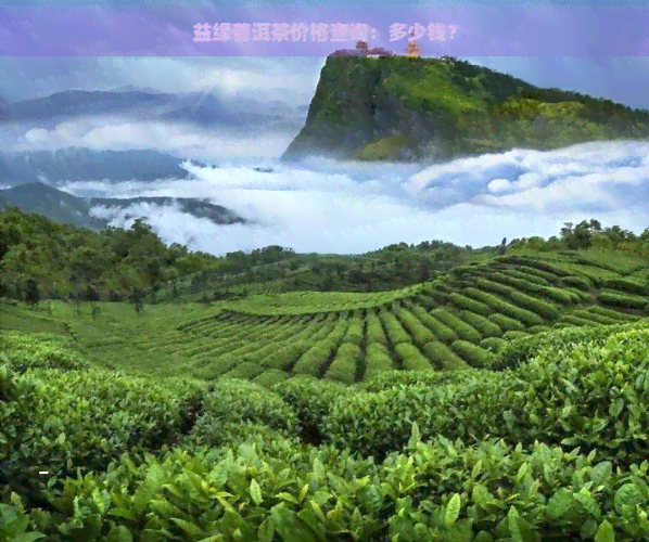 益缘普洱茶价格查询：多少钱？