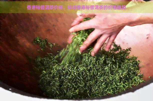 裕普洱茶价格，探寻裕普洱茶的价格趋势