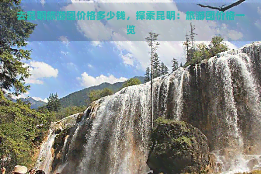 去昆明旅游团价格多少钱，探索昆明：旅游团价格一览