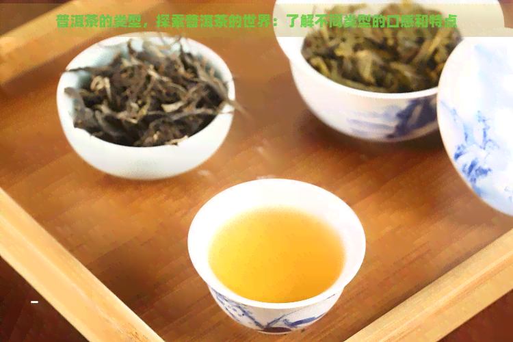 普洱茶的类型，探索普洱茶的世界：了解不同类型的口感和特点