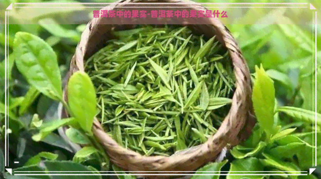 普洱茶中的果实-普洱茶中的果实是什么