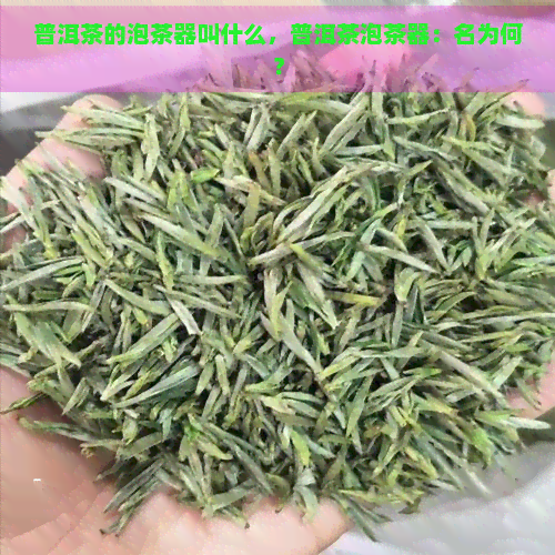 普洱茶的泡茶器叫什么，普洱茶泡茶器：名为何？