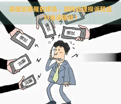 美团逾期催的很急，如何处理投诉和应对电话？