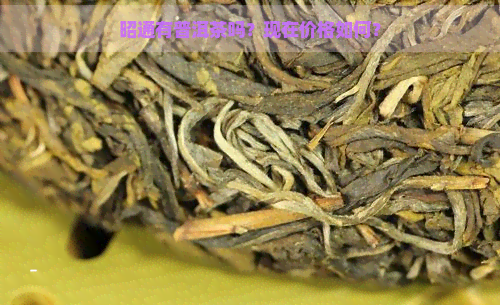 昭通有普洱茶吗？现在价格如何？