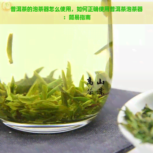 普洱茶的泡茶器怎么使用，如何正确使用普洱茶泡茶器：简易指南