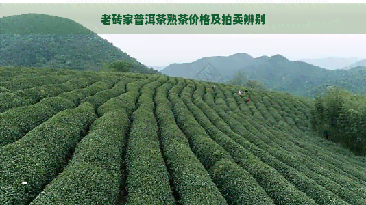 老砖家普洱茶熟茶价格及拍卖辨别